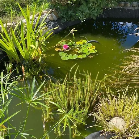 Сasa de vacaciones De Jean-benoit Le Passage (Isere)